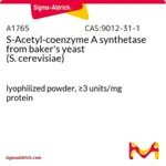 Merck S-Acetyl-coenzyme A synthetase from baker's yeast (S. cerevisiae)