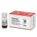 Thermo Fisher Scientific Dynabeads Streptavidin for In Vitro Transcription, 2 mL