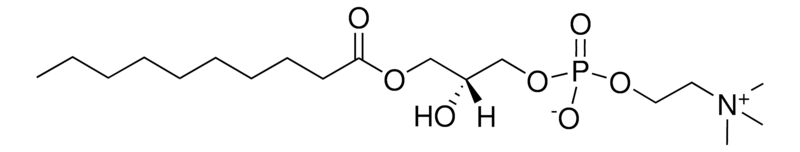 Merck 10:0 Lyso PC