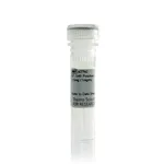 Thermo Fisher Scientific BT-549 Control Lysate (1mg/mL)