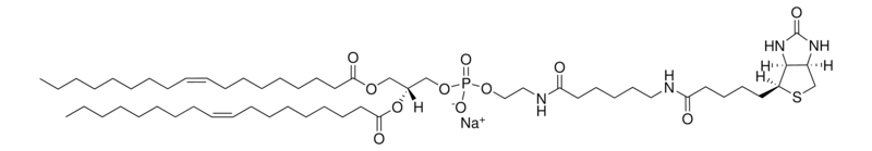 Merck 18:1 Biotinyl Cap PE