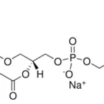 Merck 18:1 Biotinyl Cap PE