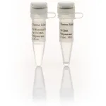 Thermo Fisher Scientific T4 DNA Polymerase (5 U/μL), 100 units