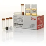 Thermo Fisher Scientific MAX Efficiency DH5α Competent Cells