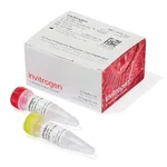 Thermo Fisher Scientific Lipofectamine 3000 Transfection Reagent, 0.1 mL