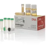 Thermo Fisher Scientific MAX Efficiency DH5αF`IQ Competent Cells