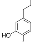 Merck 3-(3-HYDROXY-4-METHOXYPHENYL)PROP-