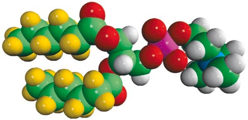 Merck 06:0 PC-d22