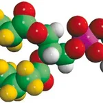 Merck 06:0 PC-d22