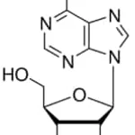 Merck ADENOSINE, UNITED STATES PHARMACOPEIA (U
