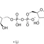 Merck B-NICOTINAMIDE ADENINE DINUCLEOTIDE