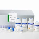 Intron DNA-maxi™ SV Plasmid DNA Purification Kit