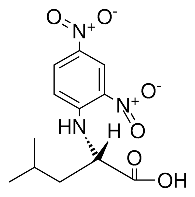 Merck N-(2,4-DINITROPHENYL)-L-LEUCINE-
