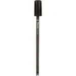 Thermo Fisher Scientific Orion 917001 Epoxy ATC Probe