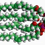 Merck 18:1 CARDIOLIPIN