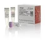 Thermo Fisher Scientific SuperScript II Reverse Transcriptase, 10,000 Units