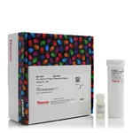 Thermo Fisher Scientific Pro-Detect Rapid Antibody Isotyping Assay Kit, rat