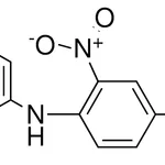 Merck 2-(2,4-DINITROPHENYL)AMINOPYRI -50mg