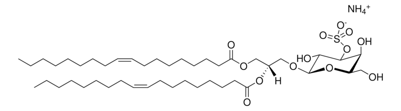 Merck 18:1 3-O-Sulfo MGDG (synthetic)