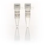 Thermo Fisher Scientific Klenow Fragment (10 U/μL), 300 units