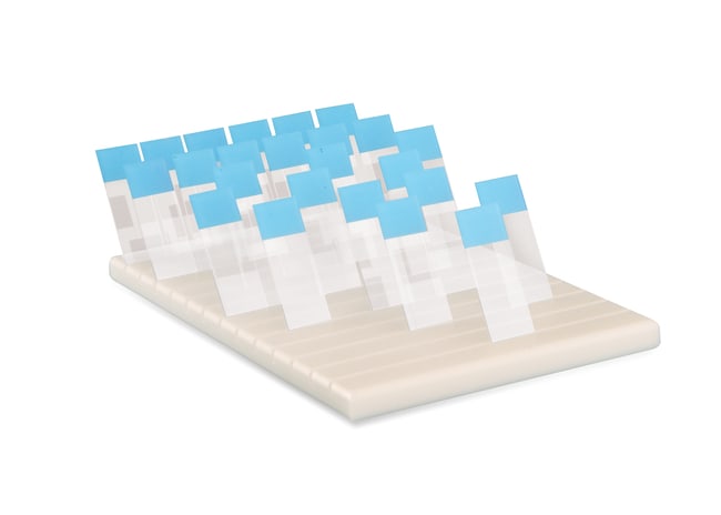 Thermo Fisher Scientific Slide Holder