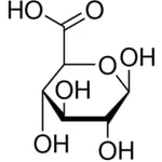 Merck D-GLUCURONIC ACID, UNITED STATES PHARMAC