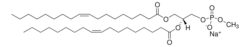 Merck 18:1 Phosphatidylmethanol