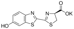 Merck D-LUCIFERIN POTASSIUM SALT