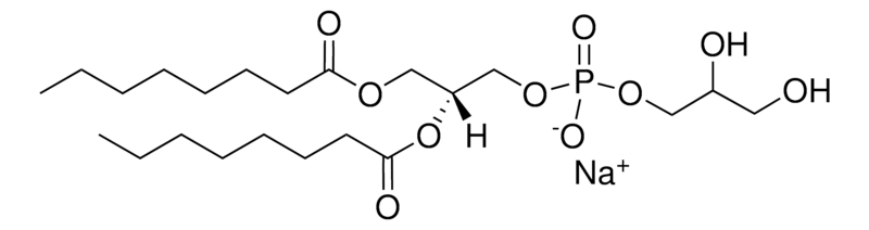 Merck 08:0 PG
