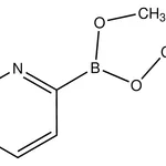 Merck Pyridine-2-boronic acid, dimethyl ester