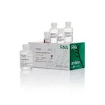 Thermo Fisher Scientific Dynabeads mRNA DIRECT Purification Kit, 5 mL