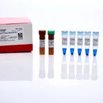 Thermo Fisher Scientific Lumio Green Detection Kit