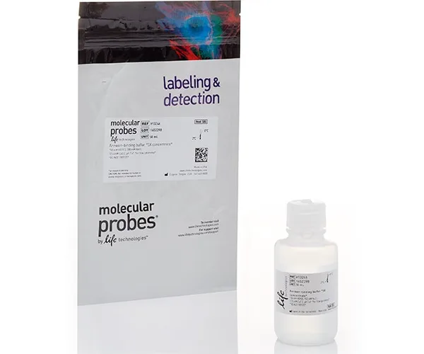 Thermo Fisher Scientific Annexin Binding Buffer (5X), for flow cytometry