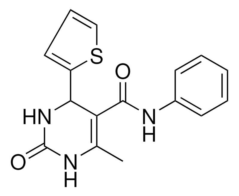 Merck 6-ME-2-OXO-4-THIOPHEN-2-YL-1,2,3-
