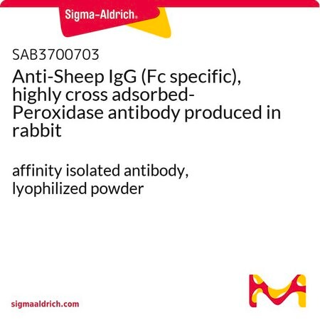 Merck Anti-Sheep IgG (Fc specific), highly cross adsorbed-Peroxidase antibody produced in rabbit