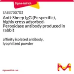 Merck Anti-Sheep IgG (Fc specific), highly cross adsorbed-Peroxidase antibody produced in rabbit