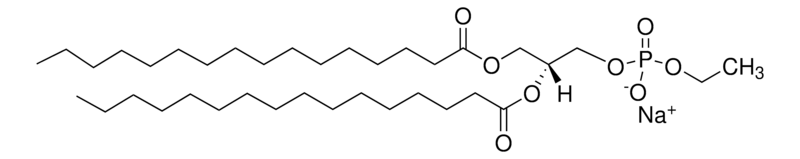 Merck 16:0 Phosphatidylethanol