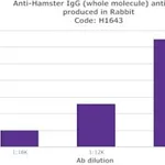 Merck RABBIT ANTI-HAMSTER IGG (WHOLE MOLECULE&