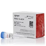Thermo Fisher Scientific Biotin-14-dCTP