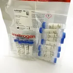 Thermo Fisher Scientific Click-IT Biotin Protein Analysis Detection Kit