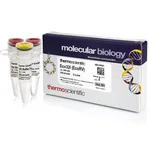 Thermo Fisher Scientific Eco32I (EcoRV) (10 U/μL), 2,000 units