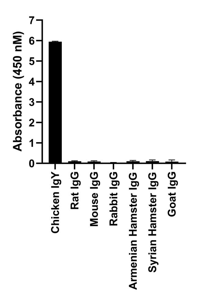 Thermo Fisher Scientific Donkey anti-Chicken IgY (H+L) Highly Cross Adsorbed Secondary Antibody, Alexa Fluor 647