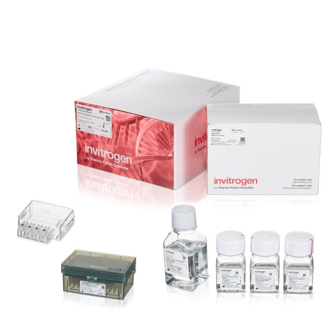 Thermo Fisher Scientific Neon NxT Electroporation System 100 &mu;L Kit with 8-Channel Tubes, 384 x 2 reactions