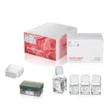 Thermo Fisher Scientific Neon NxT Electroporation System 100 μL Kit with 8-Channel Tubes, 384 x 2 reactions