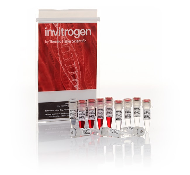 Thermo Fisher Scientific Anza 32 ApaI