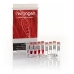 Thermo Fisher Scientific Anza 32 ApaI