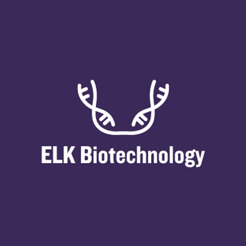 ELK Biotechnology Recombinant Mouse TGFBR2 (C-6His)