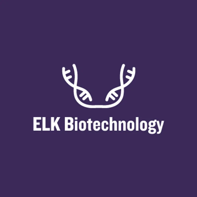 ELK Biotechnology ApoC-III rabbit pAb