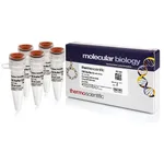 Thermo Fisher Scientific Buffer O (10X)