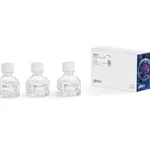 Thermo Fisher Scientific AAV-MAX Transfection Kit, 1 kit for 1 L of production